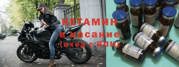 шишки Вяземский