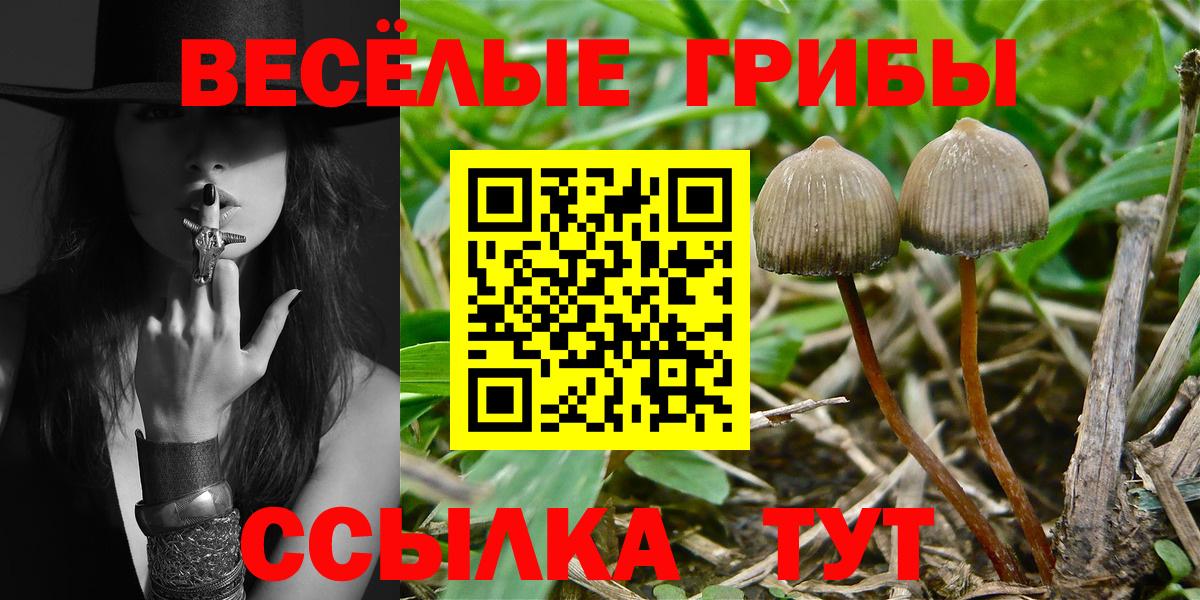 Псилоцибиновые грибы мухоморы Губкин