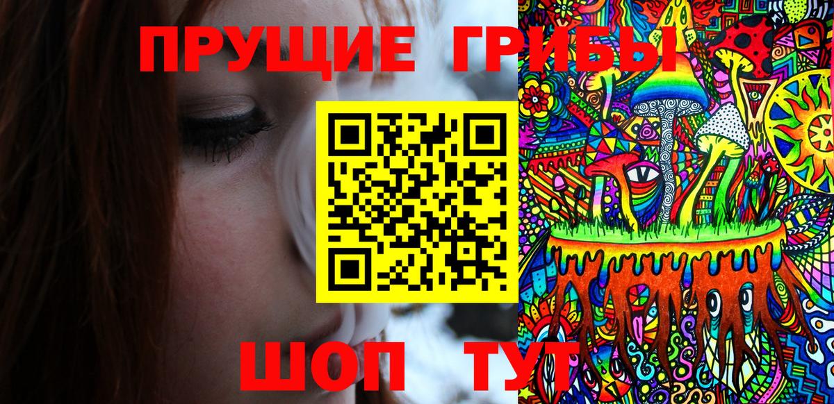 Губкин  Галлюциногенные грибы MAGIC MUSHROOMS  Вход с VPN  Галлюциногенные грибы ЛСД 