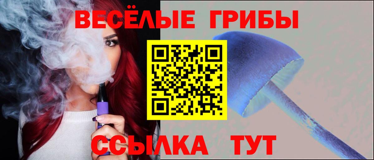 Галлюциногенные грибы прущие грибы  купить наркотики сайты  Губкин 