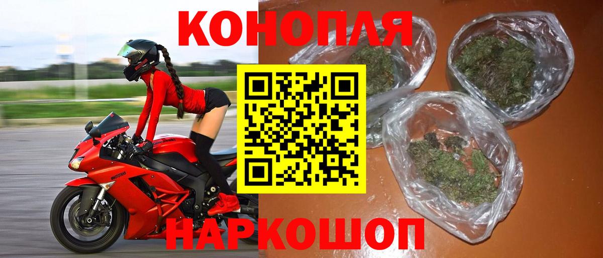 Бошки марихуана ГИДРОПОН  Губкин  Бошки марихуана MAZAR 