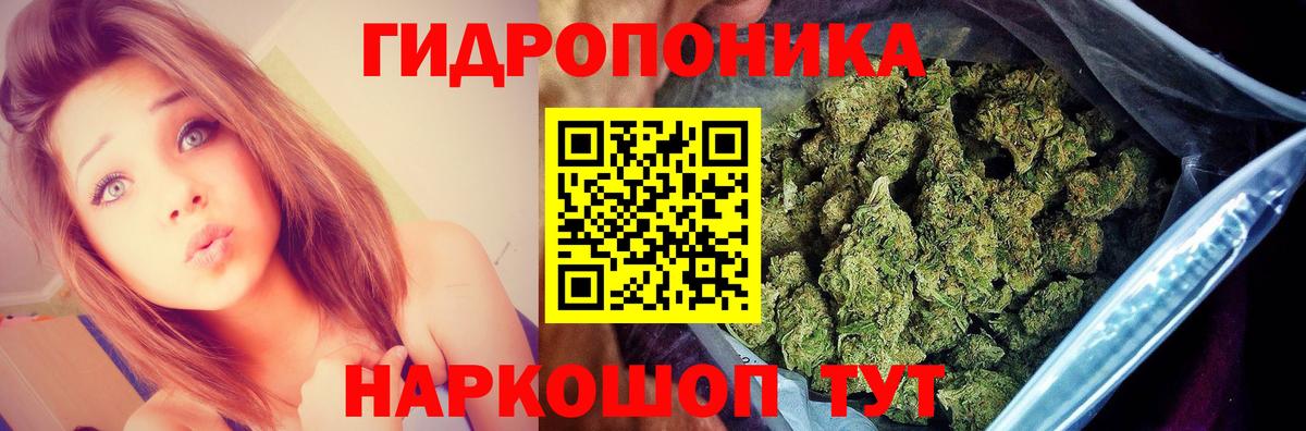 МАРИХУАНА Amnesia  Каннабис семена  Вход с VPN  Губкин  Марихуана сатива 
